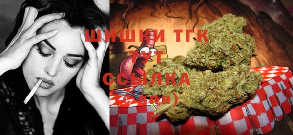 круглые Аркадак