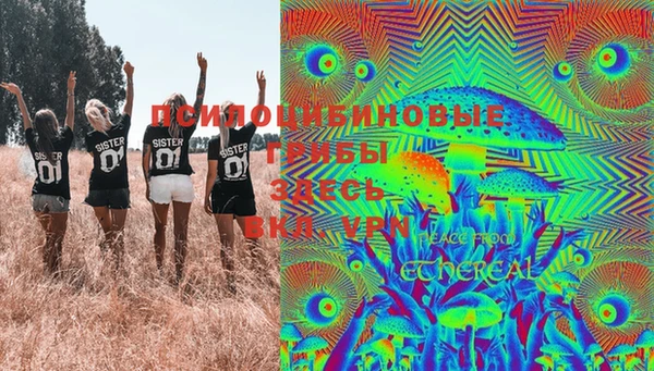 круглые Аркадак