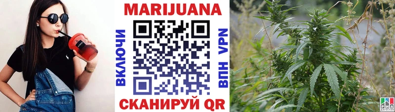 Канабис семена  где найти наркотики  Пустошка 